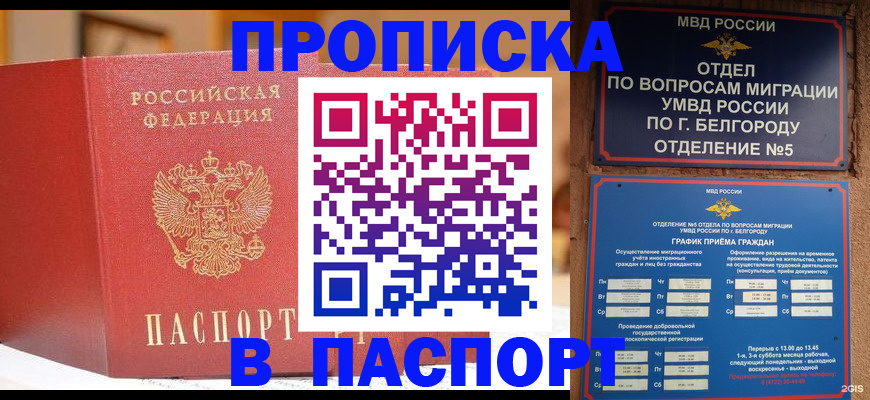 временная регистрация в квартире в Зеленогорске